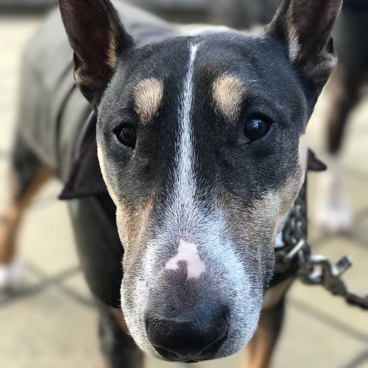 9cf4a00a 8bc0 41b3 ba80 33a11012dbf3 1511079031584