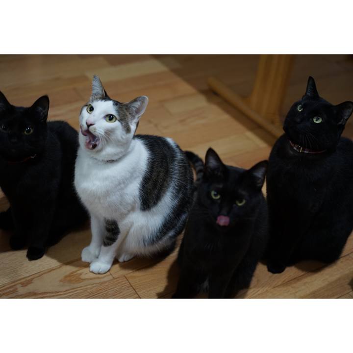 9cf4d21e 3363 45c7 98cf e216e5234389 1547768999138