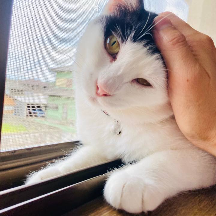 9cf4d649 9827 49d0 874a b02343324da9 1660123485267