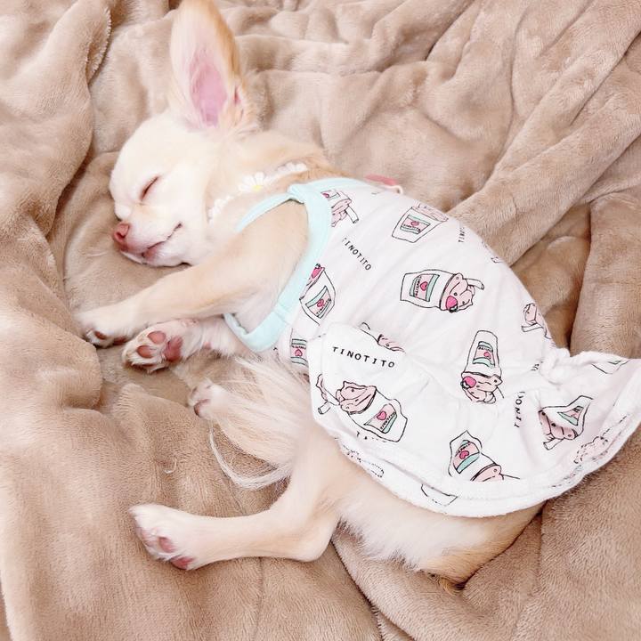 9cf4e6b4 eedb 44a5 acf2 7d827ac0c576 1686362954668