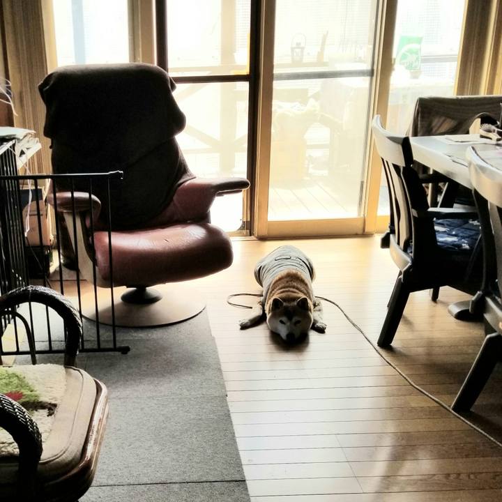 9cf4e70f 00cf 4096 9283 4169fc973e37 1680088343038