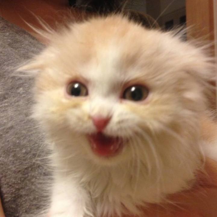 9cf4f31b 67d7 4a00 93da a2e1eb751756 1558529844801