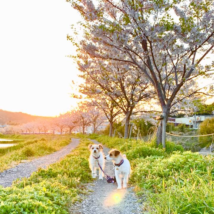 9cf53c50 377a 4b6a a97a 45a2549cbbaa 1776088513844