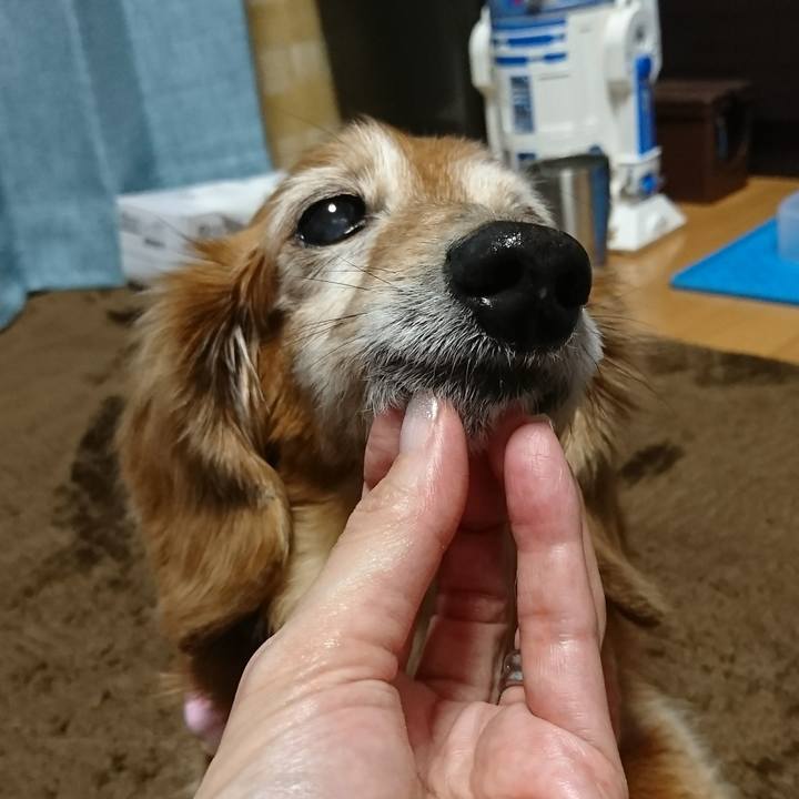 9cf58186 b726 4a48 adb1 5cfbac10d8b7 1517753887801