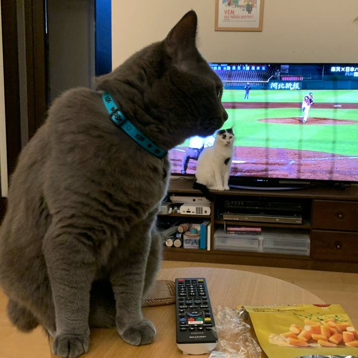 9cf58bff 6bad 44b1 99f5 1ef2940ca741 1593082053239