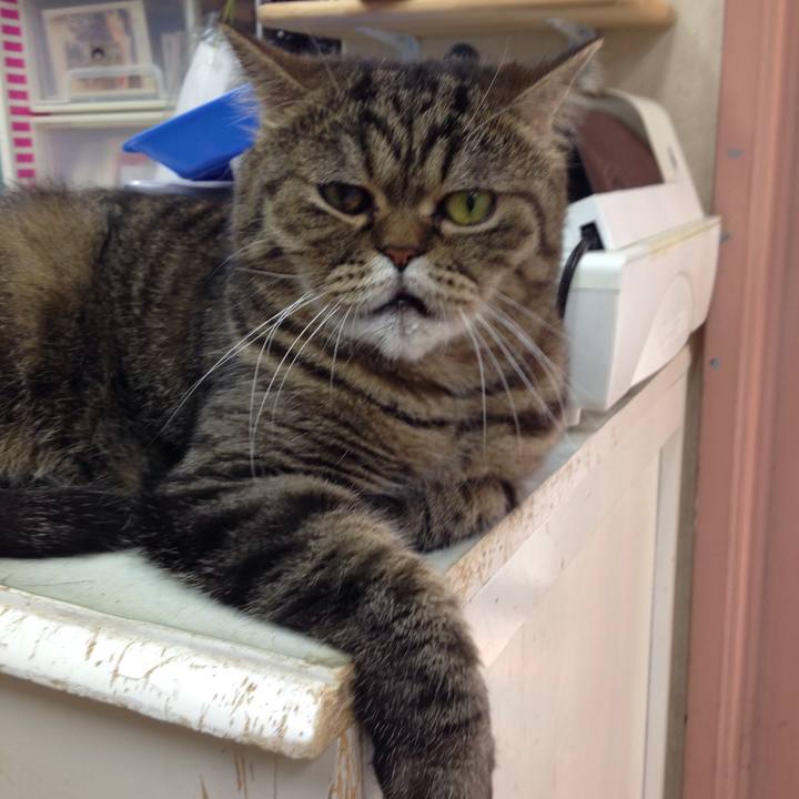 9cf58d26 679a 4970 9ef2 b58dd0089200 1519866124096