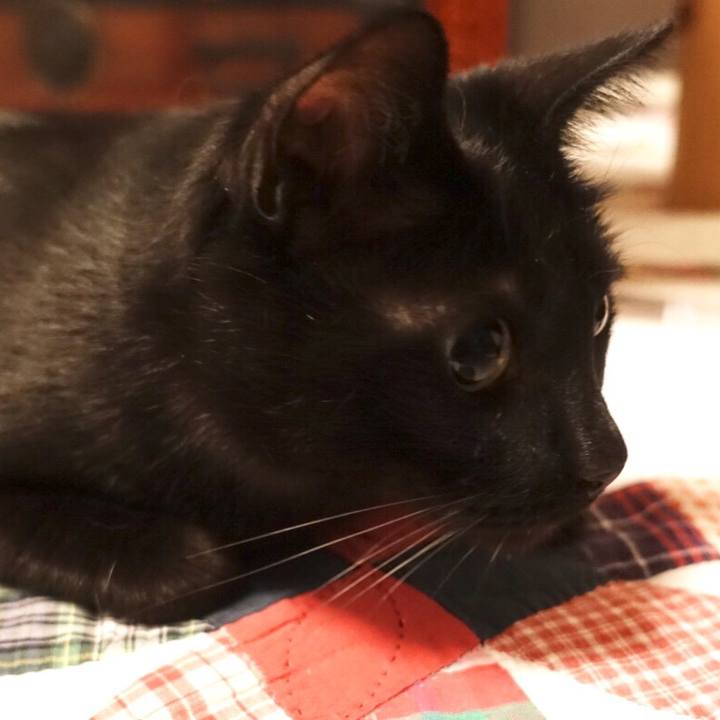 9cf5aaa1 18e4 485d b173 1e892d40b4c7 1513392791202