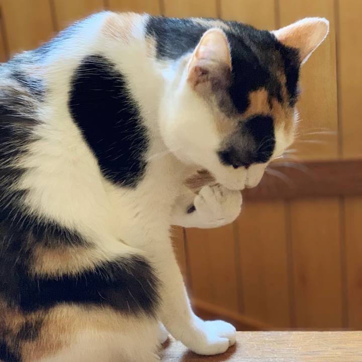 9cf5ccd9 d012 47ac 9cf6 7198b97c9763 1540961826421