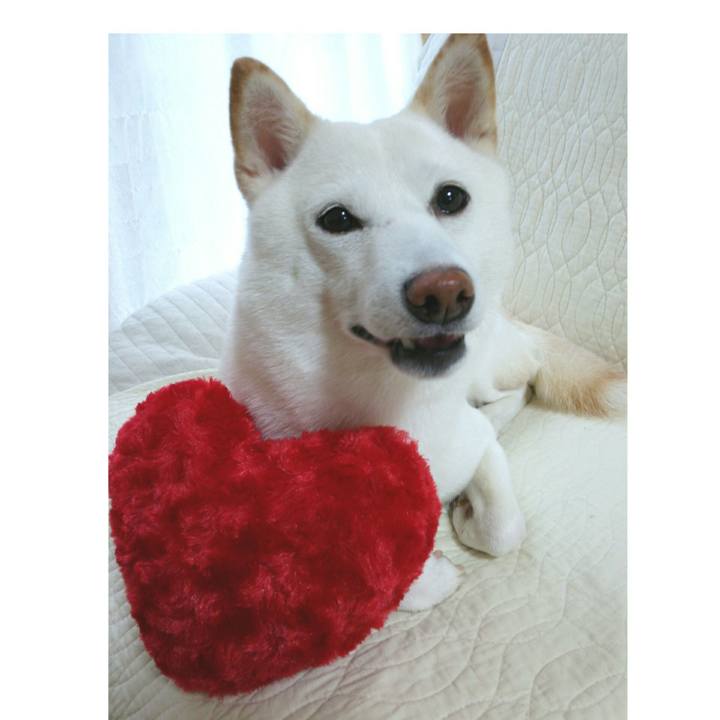 9cf5eb2f cf87 4168 a41c 217667c76d22 1560902569076