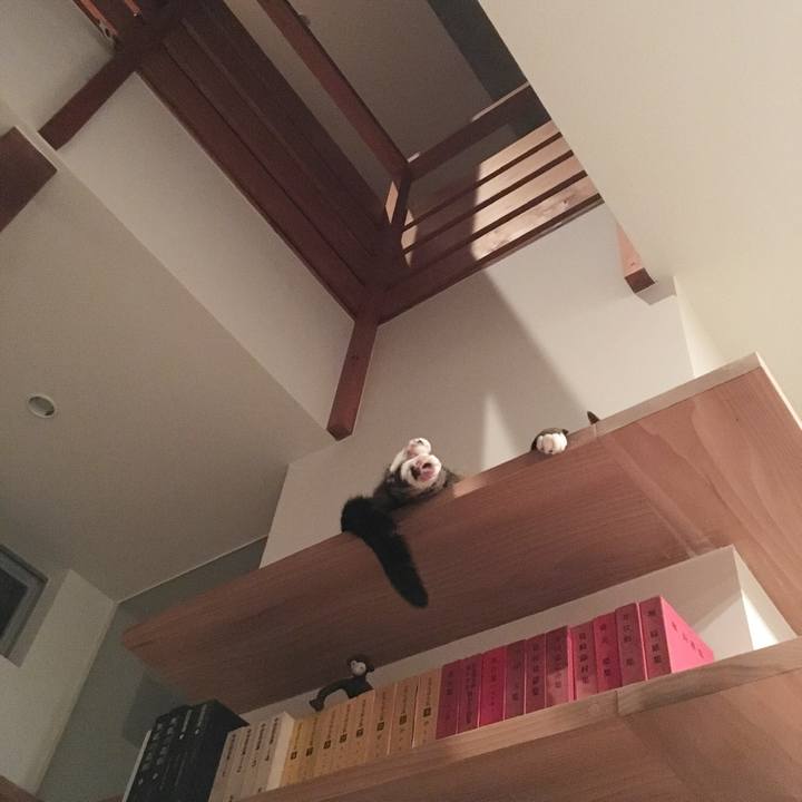 9cf60d52 b3b2 4632 accf c522f037e36d 1560776613012