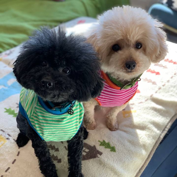 9cf62aed 6927 476b 9177 a48adcb0e796 1554158806279