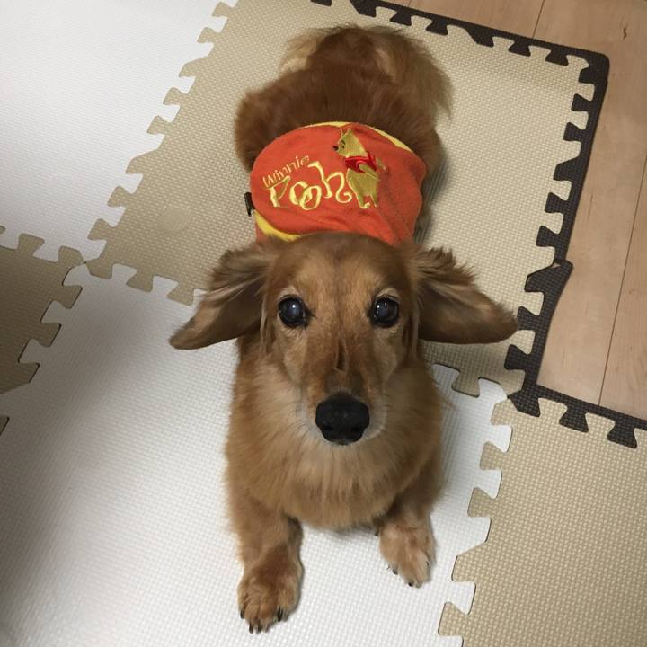 9cf63702 5917 47ef 81d0 8e2883ed8c03 1621169427942