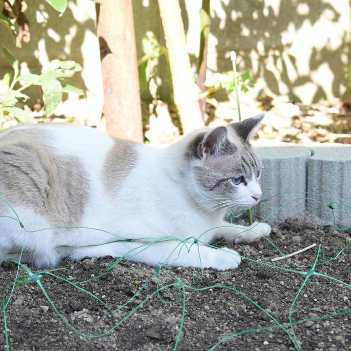 9cf63c23 9809 4f37 969a a9eac3ac582a 1509076804602