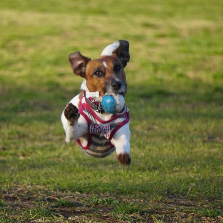 9cf66ad7 7683 40f2 8ec4 53d2342b5e53 1552863377180