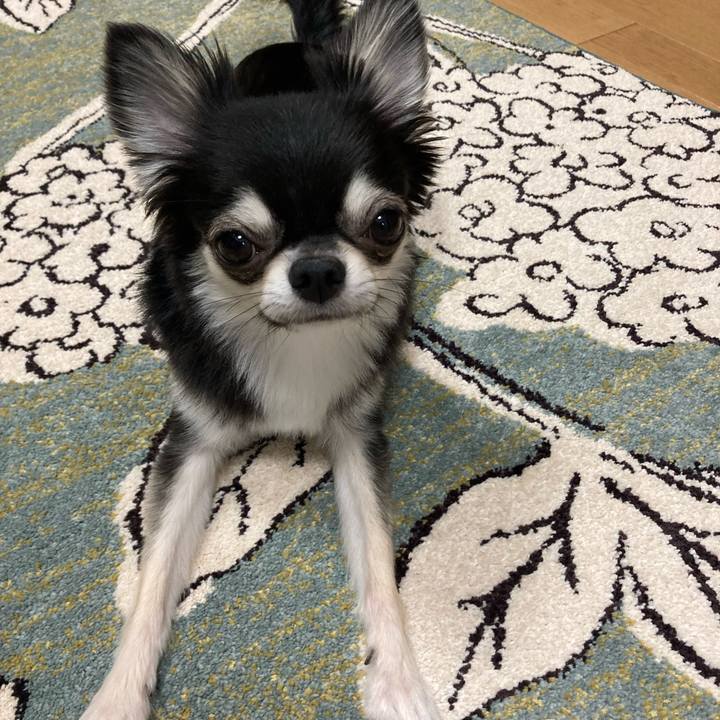 9cf6766f 4667 4505 9353 d83b844c50ab 1626961597558