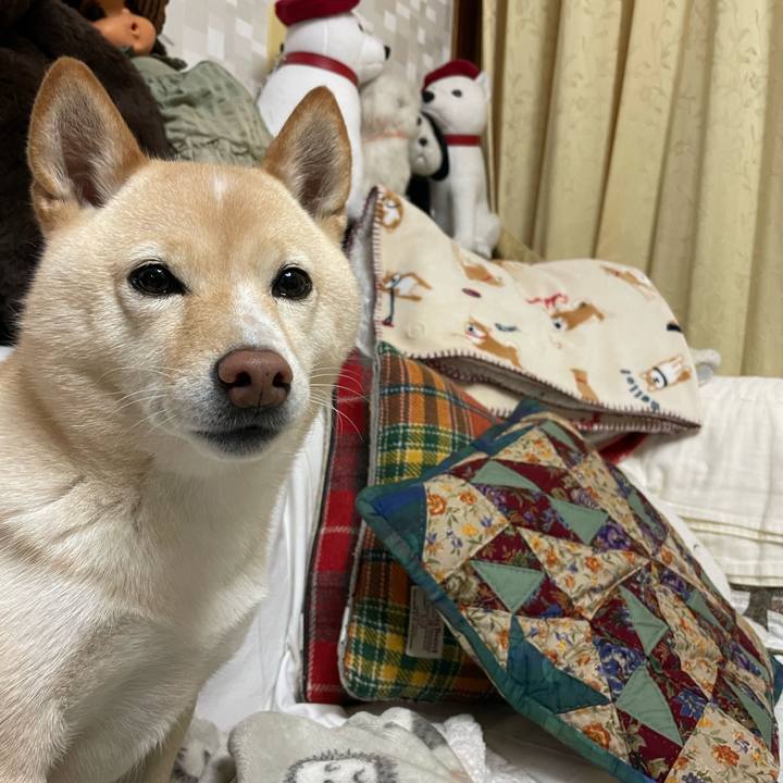 9cf6809c 7d1e 4b70 bb39 84b849fc2255 1670496219126