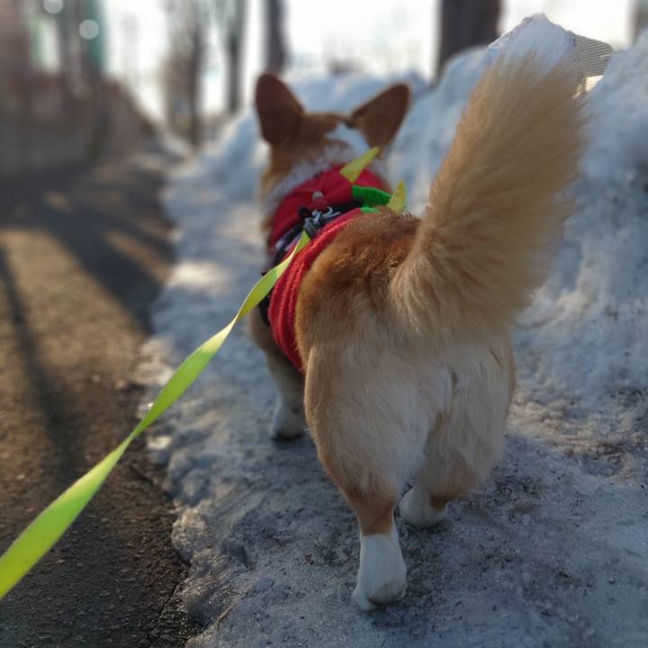 9cf6971b d175 47db a5ab a3294a74549e 1773791638217