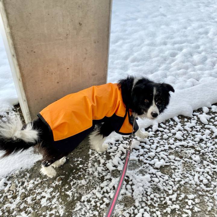 9cf6aeac 56ff 4656 a04f c928d382cb8e 1610150964901