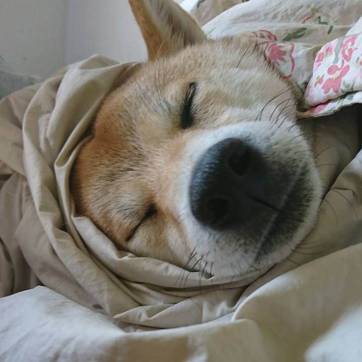 9cf6f79f ca7a 44ec ad90 caebe727c955 1519432406057