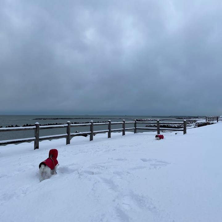 9cf70298 2fd9 412b 8e5b 9f588199ef7e 1675210347982