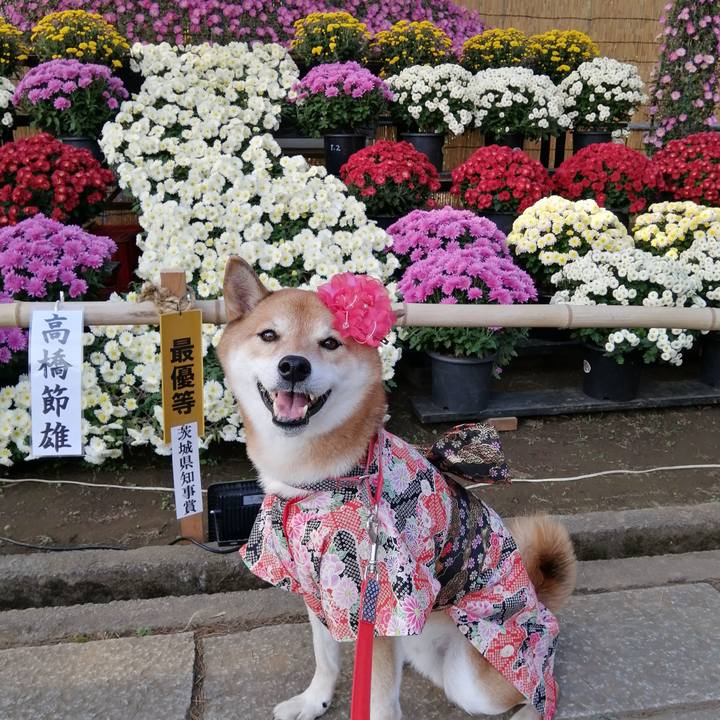 9cf71251 9430 40ef a23e 591f3975916c 1668095473948