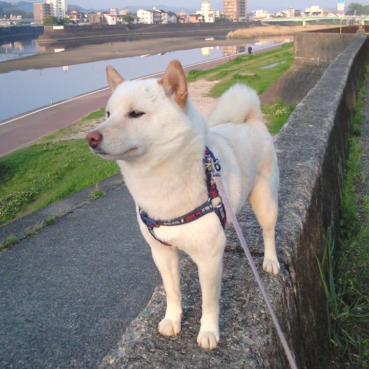 9cf71322 22e2 4084 a6fd a049d06dd4d4 1656162474681