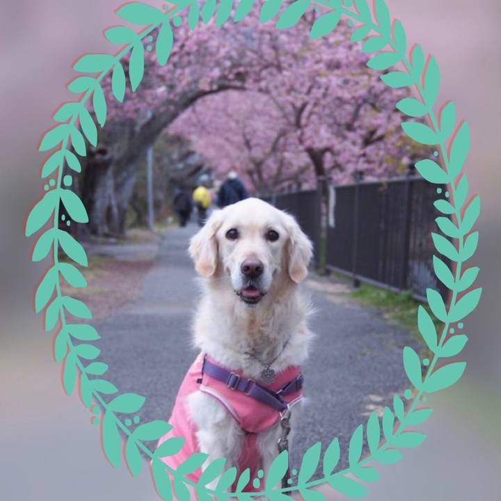 9cf72133 dcd3 46e5 83c6 7dc783151333 1520758867687