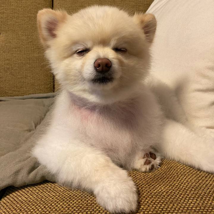 9cf7382f b087 4c06 b467 cff57c7d019c 1660776424088