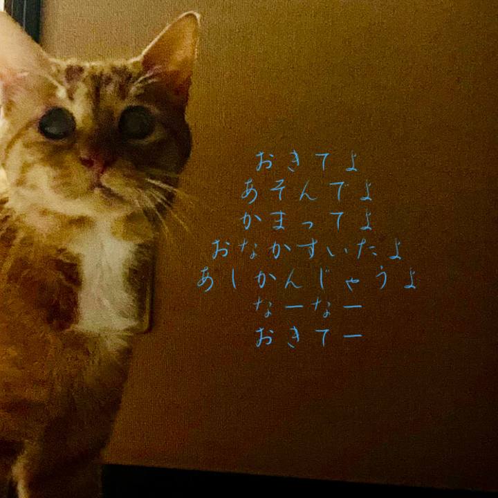 9cf74bf2 a3c0 4b19 a241 794e27ffc0f6 1763508010150