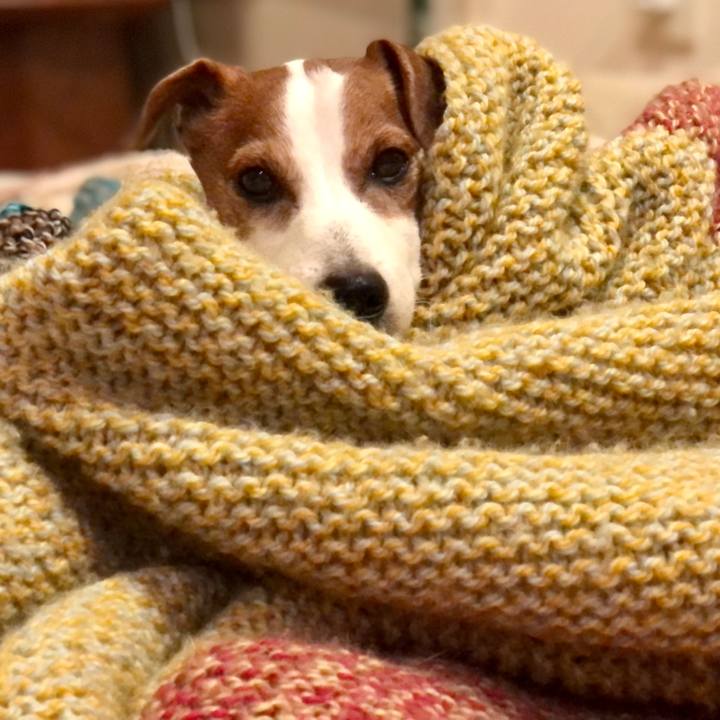 9cf78806 fb27 49be bbd3 d29df6d798c7 1709437760118