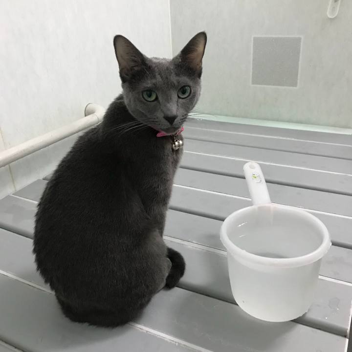 9cf7bb9f 3558 4734 9793 59eb7a8fef34 1516022396898