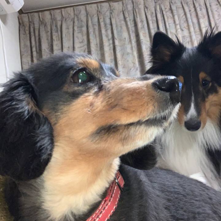 9cf7bee7 25fa 4339 82bd 14bbcf739f8f 1553719360265