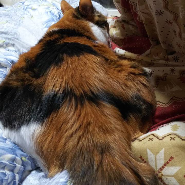 9cf7c0cd a56b 43c6 9978 c7859762cd57 1554673974803