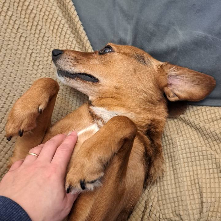 9cf7f072 32e4 4035 ac2c df1fc02580ef 1770987470077