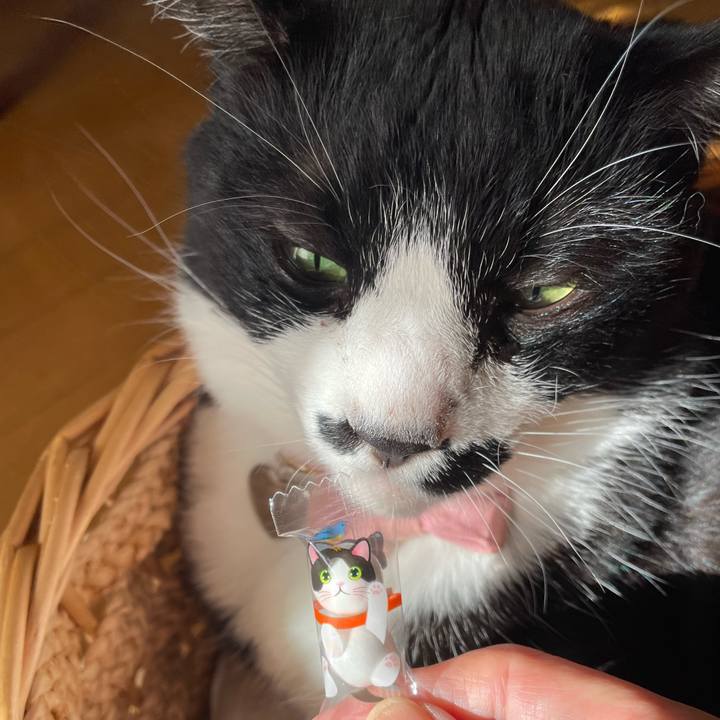 9cf7f360 3d51 4d9f 81eb e6ed03ec452d 1762492123940