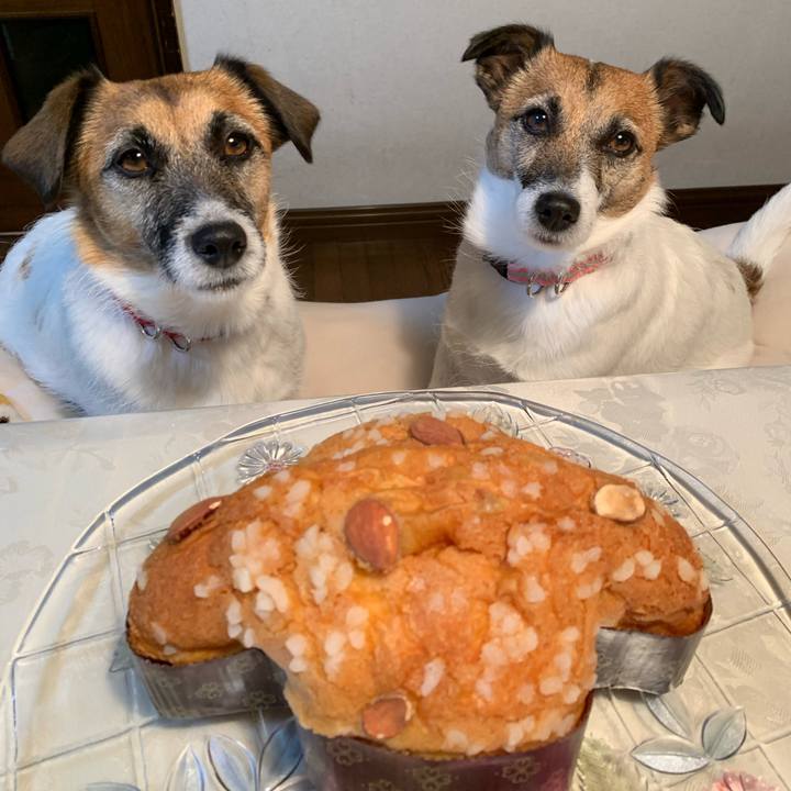 9cf82278 c2b0 4cdd aebd 793206890a2e 1650159160316