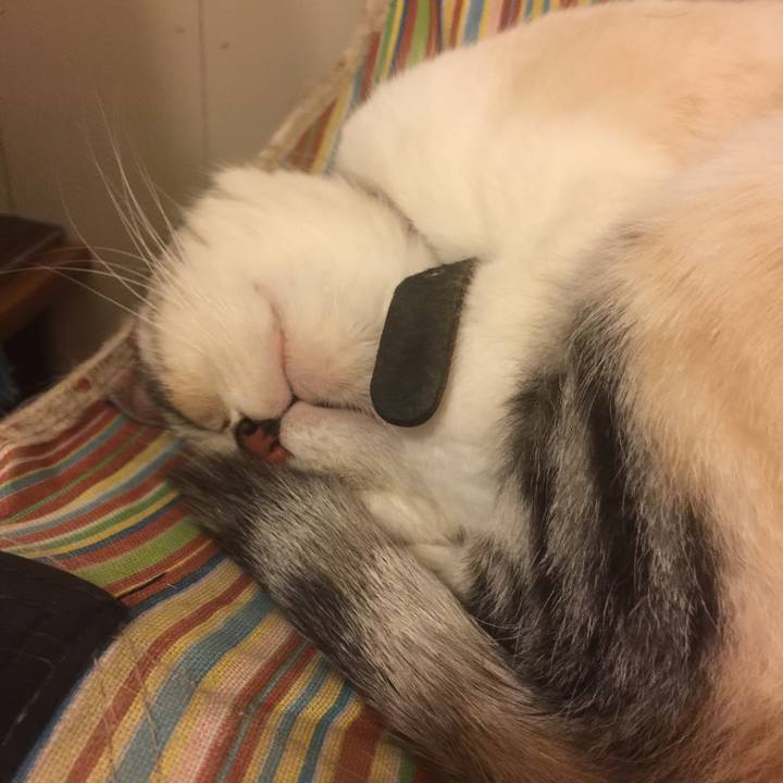 9cf8273f 606f 419e 91a5 3a65d2c25c99 1559492648909