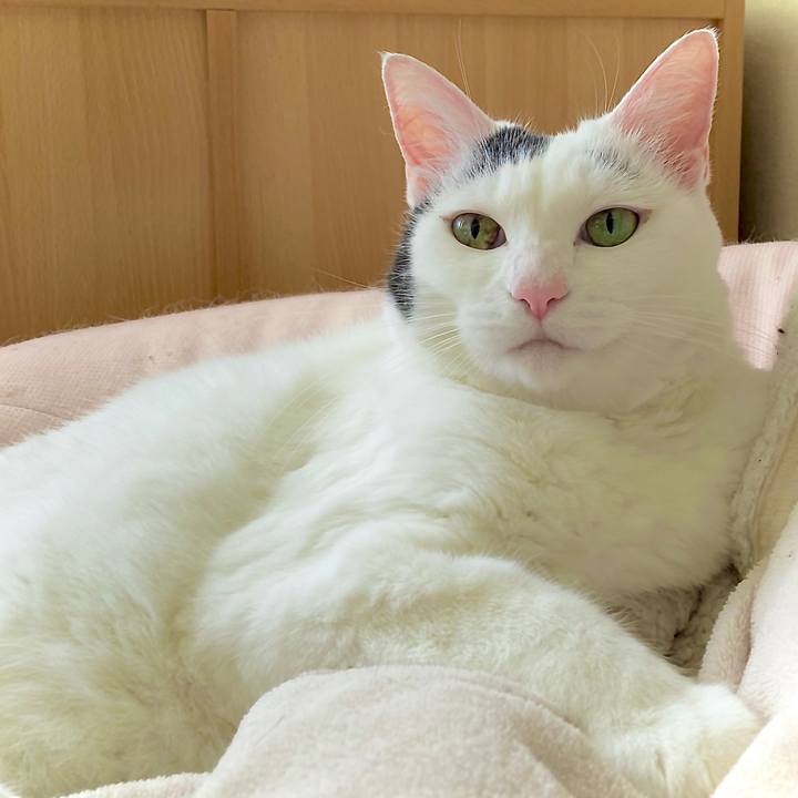 9cf86542 d77c 449c 98a2 e9117c81f6a1 1648021851722