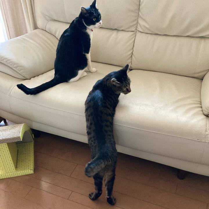 9cf883e3 c1c6 42dc aa88 7b31e61bbb5d 1656120875060