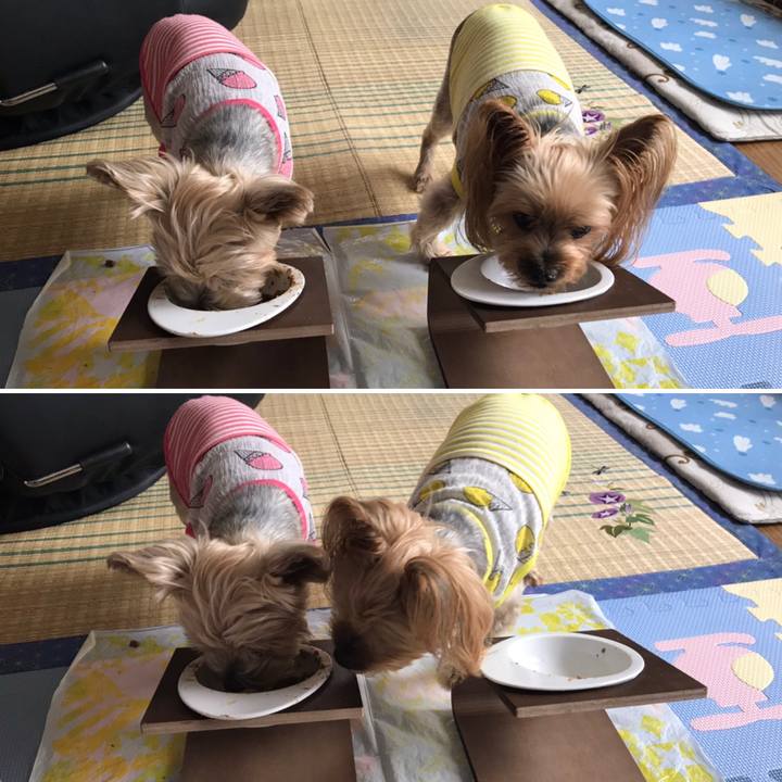 9cf8b82c d528 47c1 b369 de1d4b55f403 1593077775997