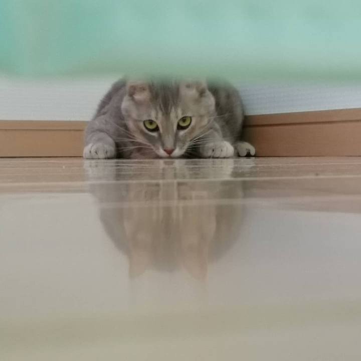 9cf8bfa2 ba5d 47cf 98c5 cd7918327bc0 1547626770550