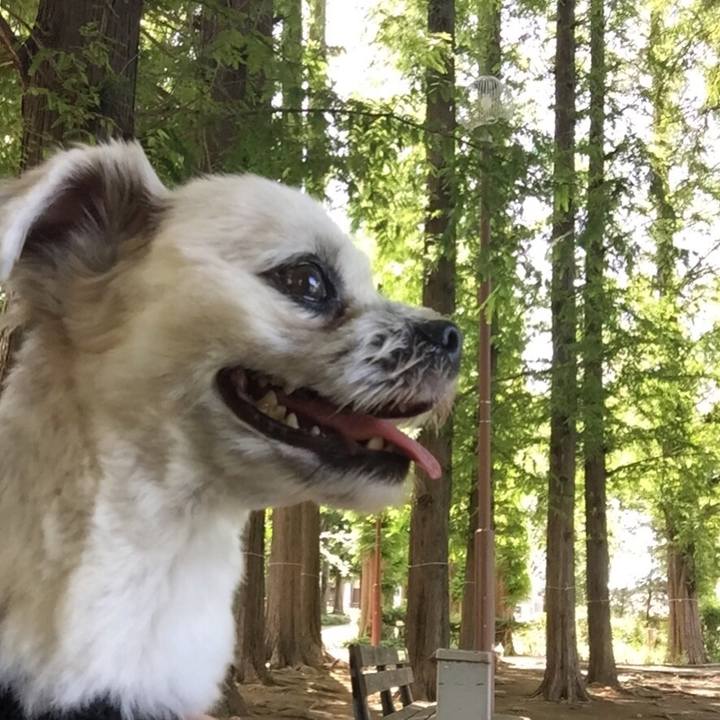 9cf8c84d e043 4b8b a026 dd869403c34b 1534307399453