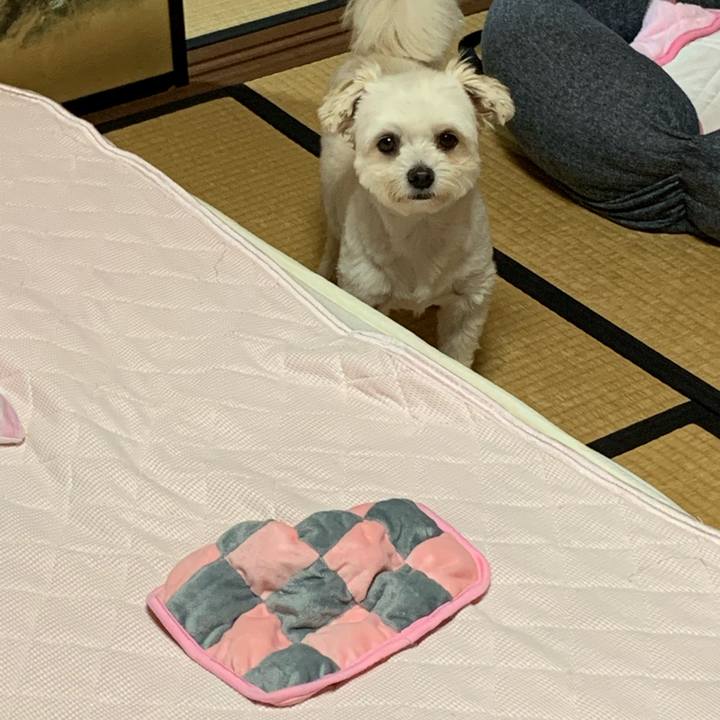 9cf95d52 8acb 4231 8492 f09eda1c82c3 1596624899656