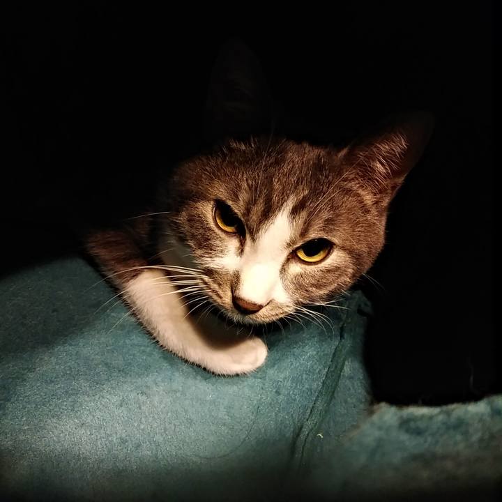 9cf9ecde 5513 42ed b5bc ecdd04d3bb6c 1580658737101