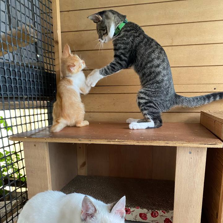 9cf9f960 7161 4398 a067 00513aca6d8b 1631417617429