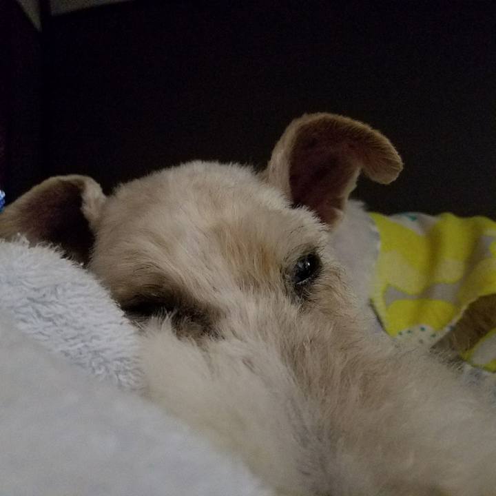 9cfa1bb4 7f5e 49d7 adc3 5abb668c01ad 1528379484039