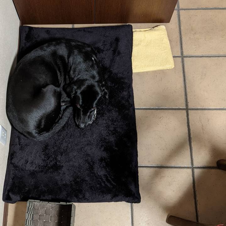 9cfa2085 77bf 49bd a084 1e7a238364ee 1646871884840