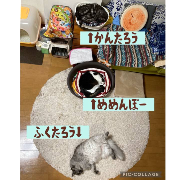 9cfa3b6c 7614 4f90 8a5f 5c0de72c8c91 1714330547319