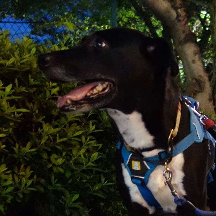 9cfa7bde 7baa 4a38 bc50 81b4d127dbe9 1631790779300