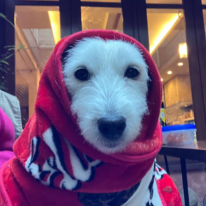 9cfa9736 b6db 4492 9396 d9b2a32baefe 1670799346993